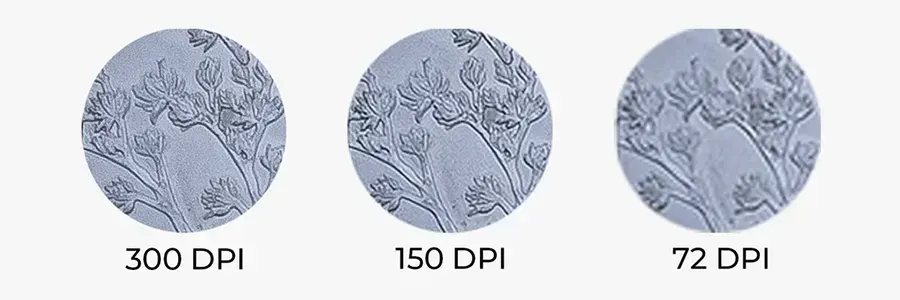 Image quality DPI image by exhibitcentral.com.au